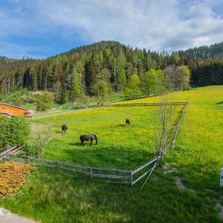 Huberhof 1 By Alpenidyll Apartments Schladming Esterno foto