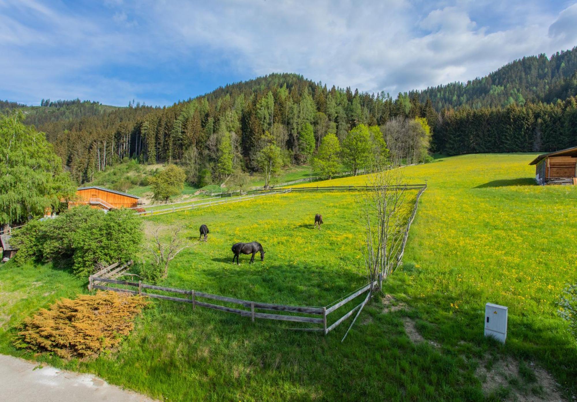 Huberhof 1 By Alpenidyll Apartments Schladming Esterno foto